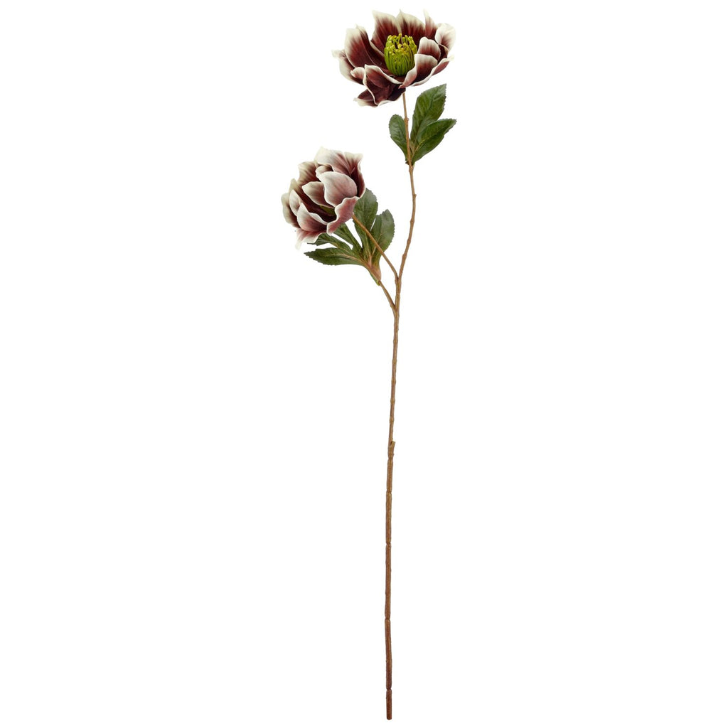 Julerose brun h 67 cm