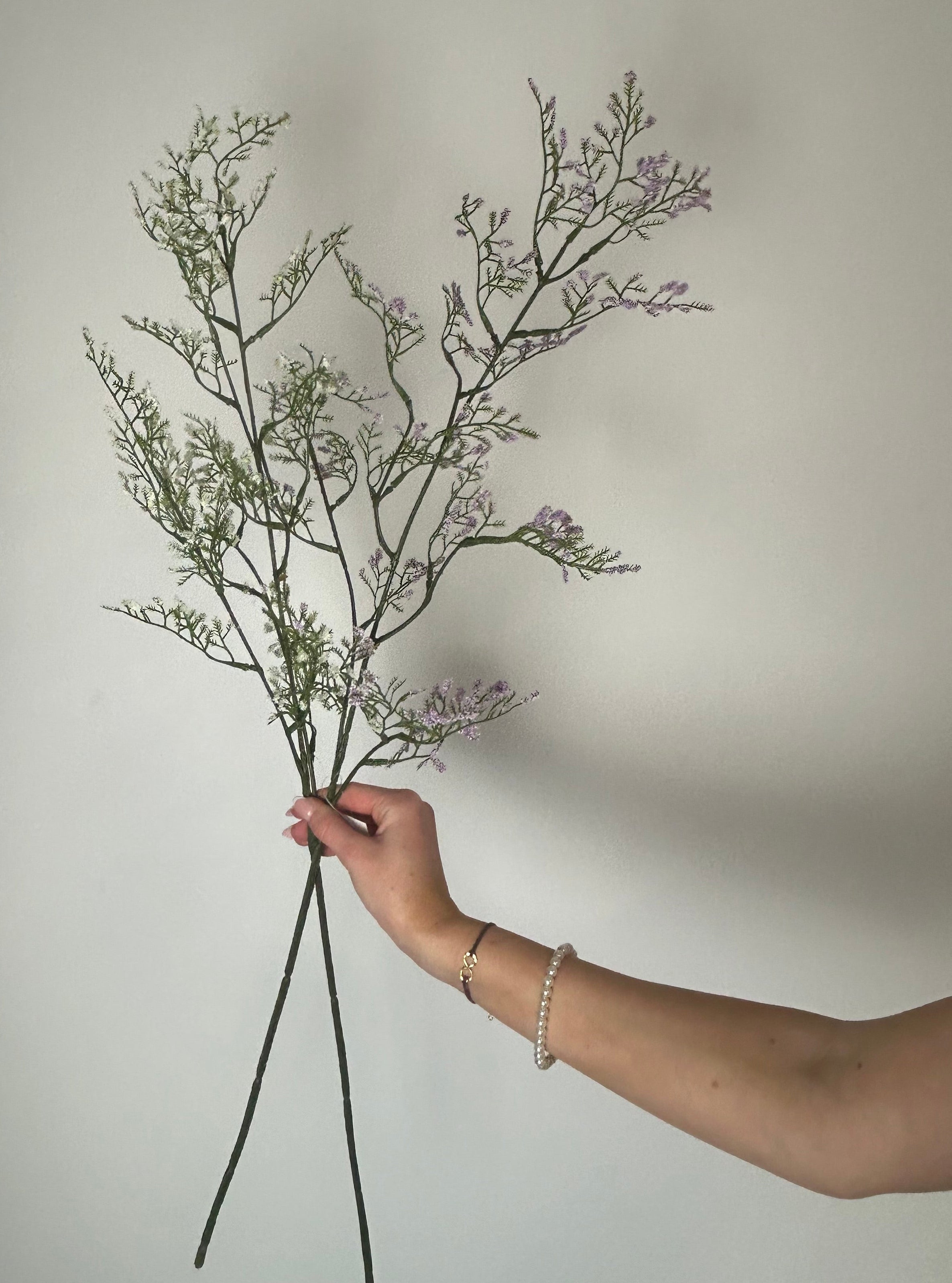Limonium lilla
