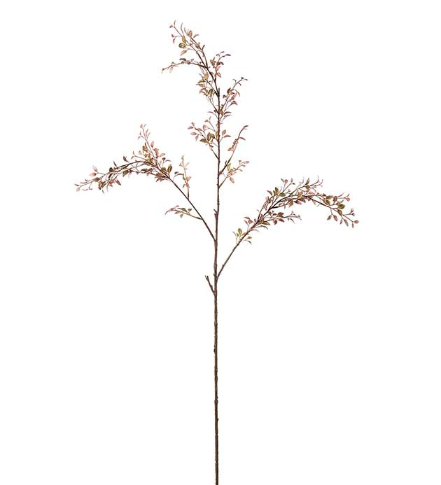 Kvist 78 cm