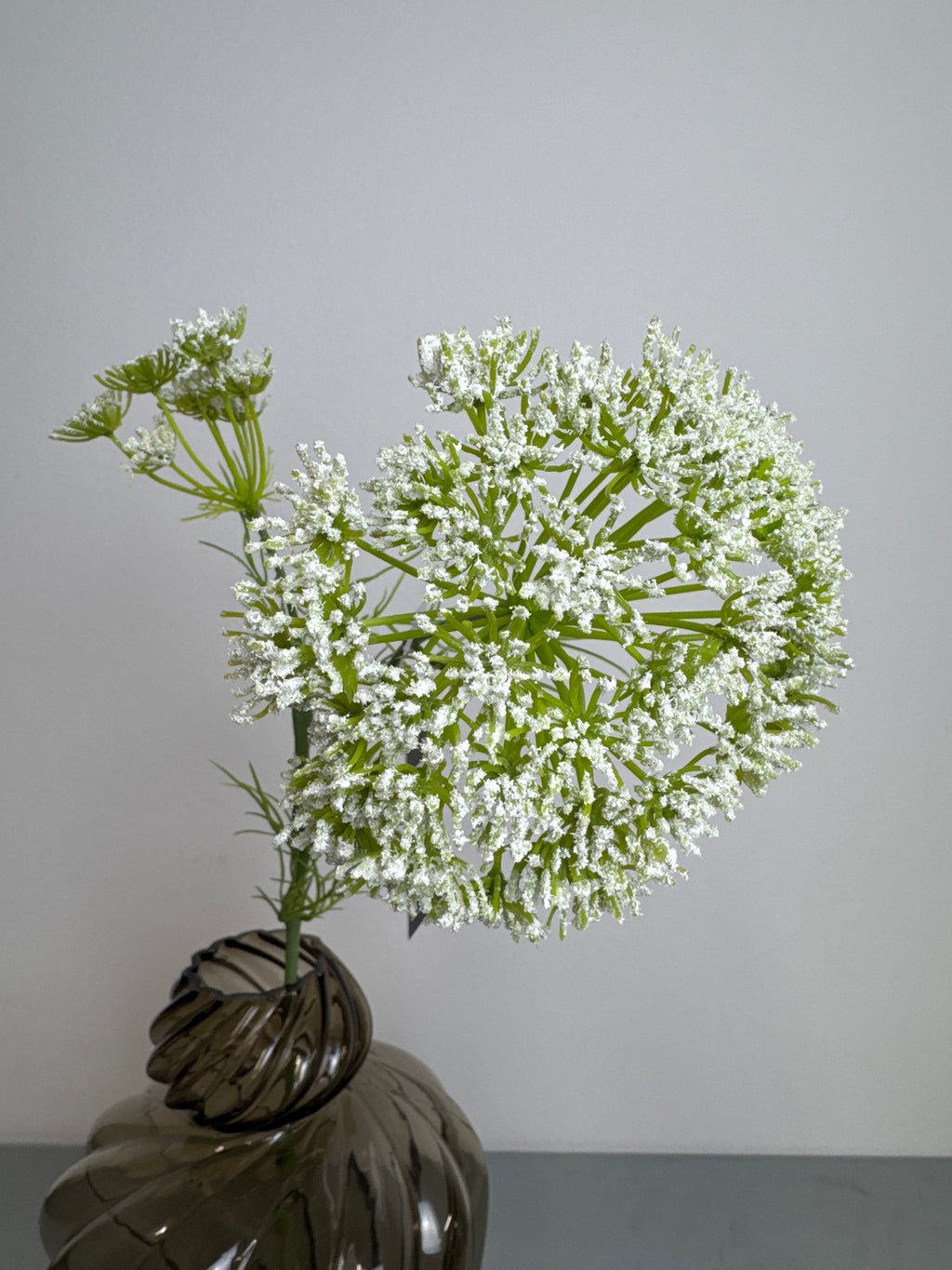 Hvid skærm blomst stilk