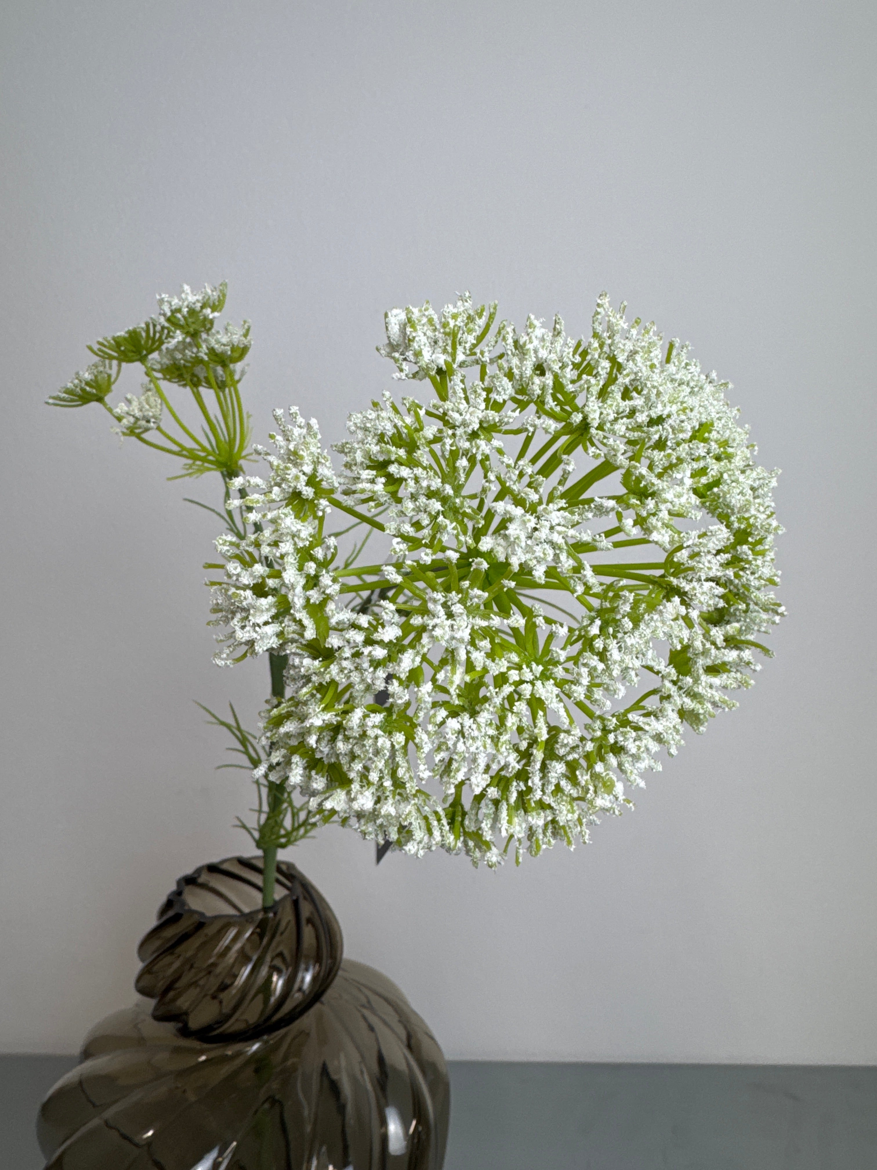 Hvid skærm blomst stilk