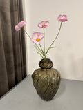 Cosmos pink