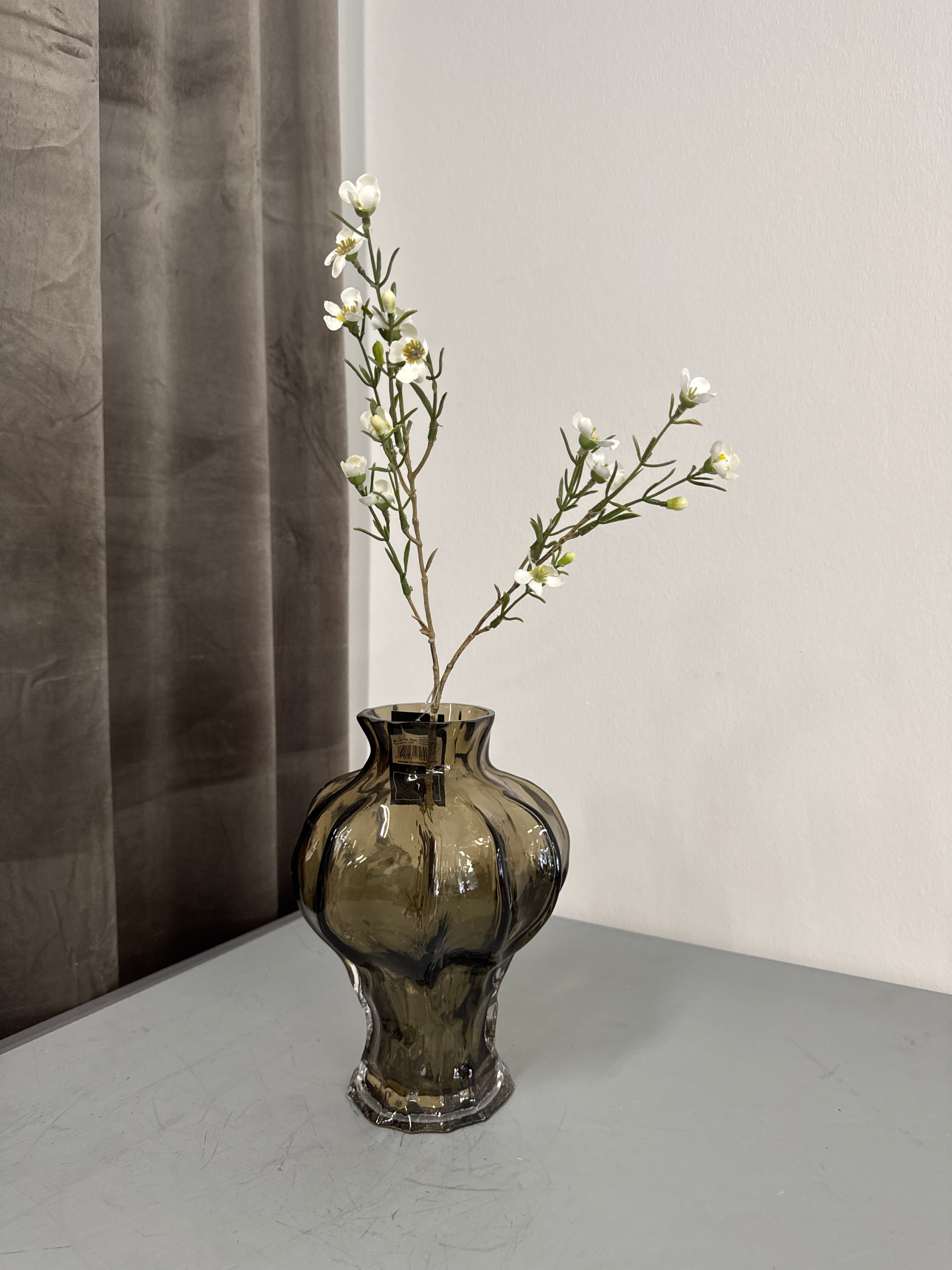 Voksblomst hvid