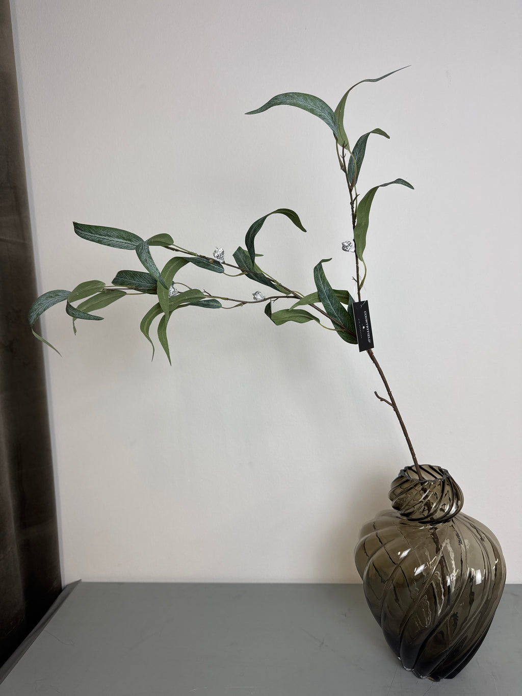 Eucalyptus med bær udgår