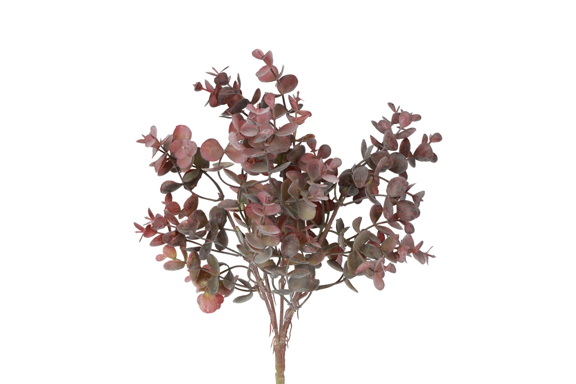 Eucalyptus buket lys bordeaux h 33 cm