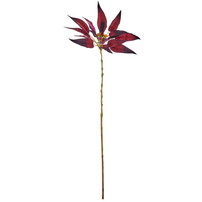 Julestjerne Bordeaux 76 cm