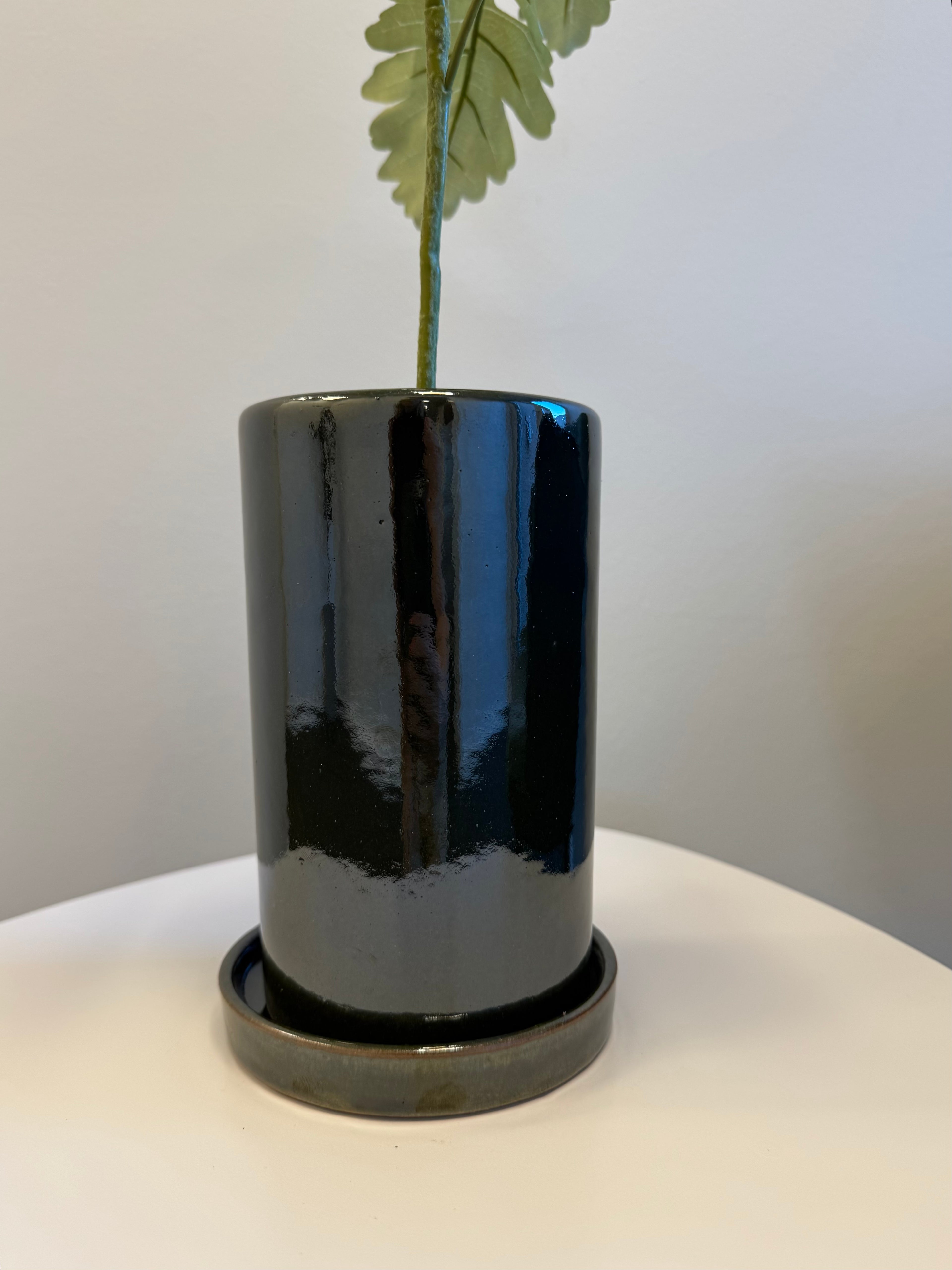 Silverek “plantet” i potte