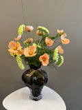 Cosmos peach 10
