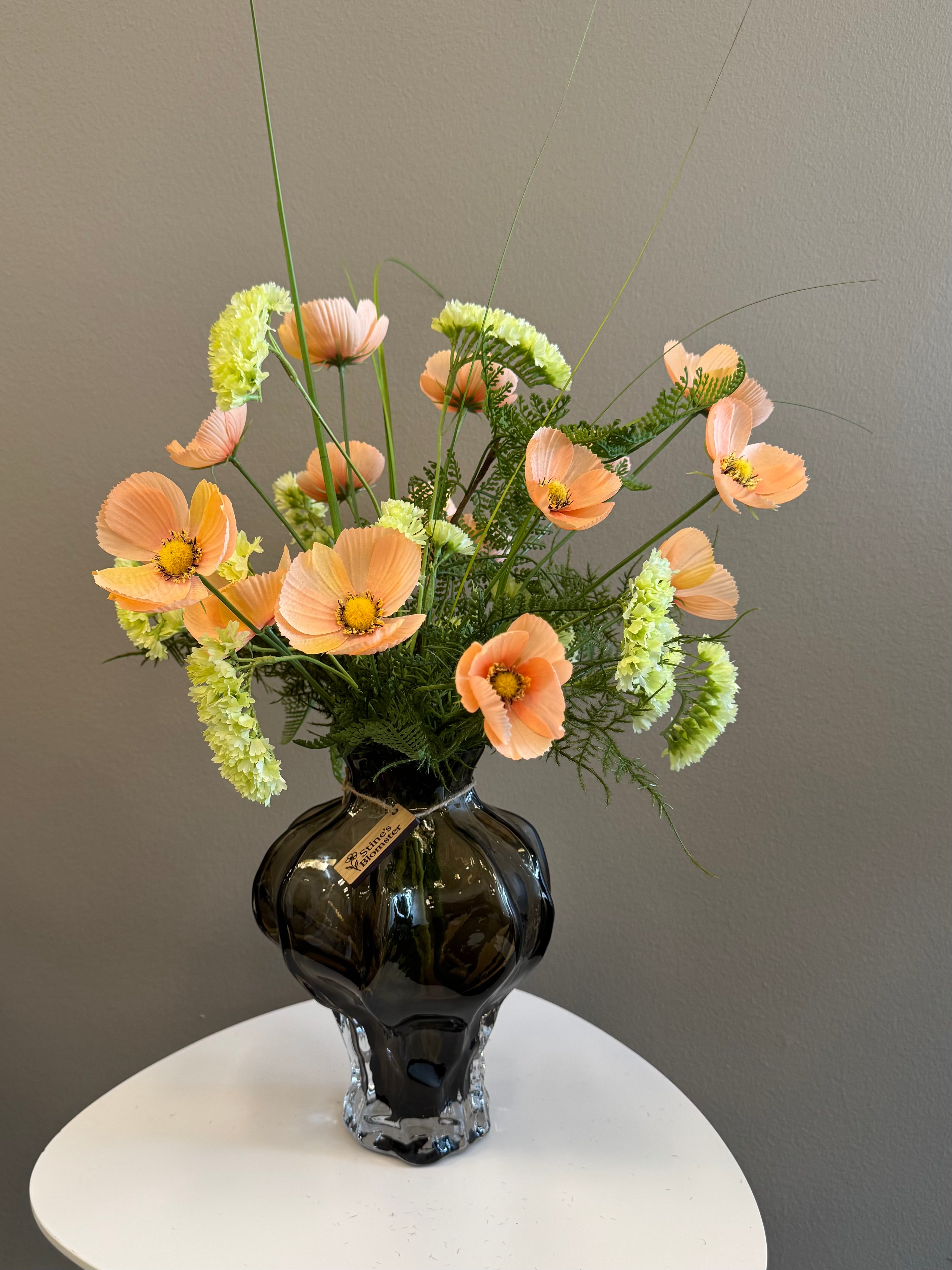 Cosmos peach 10