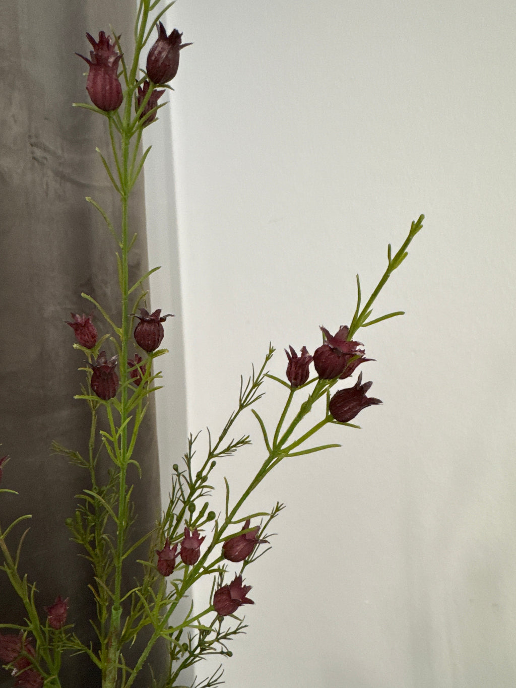 Lyngblomst bordeaux