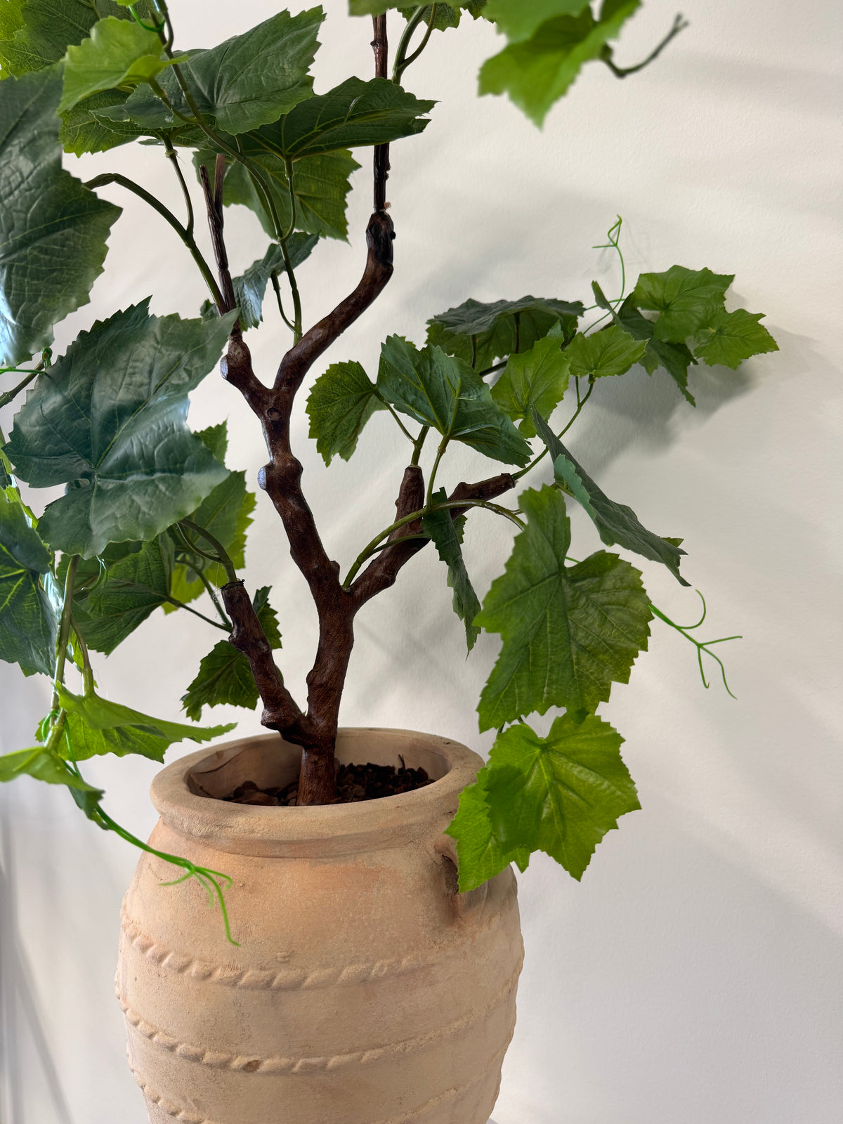 Vinstok plante 90 cm