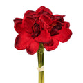 Amaryllis 3 stk rød bundt h 32 cm