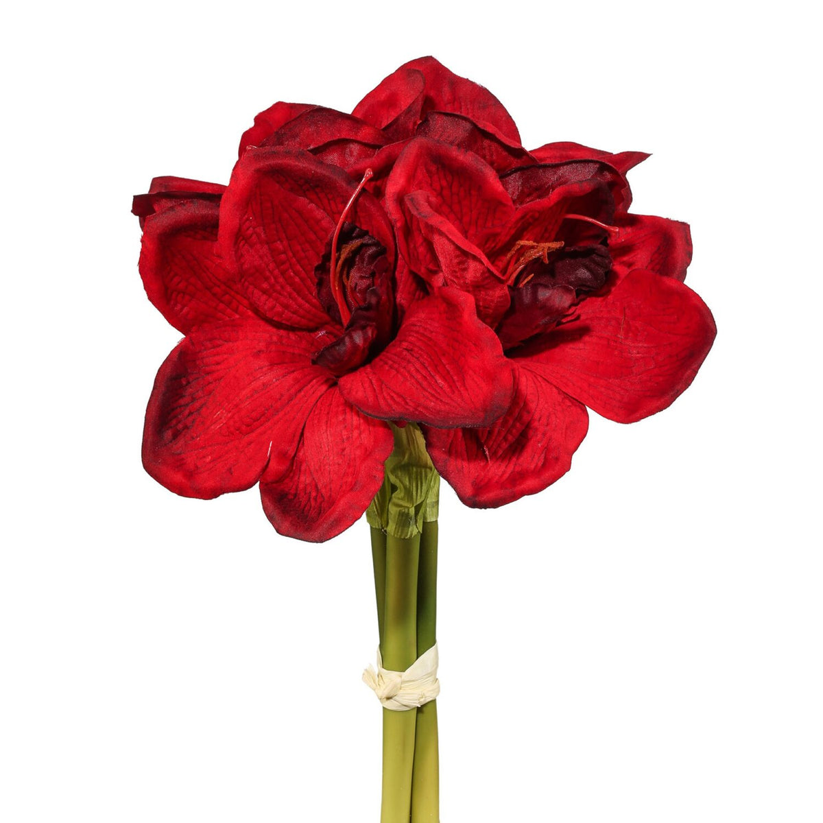 Amaryllis 3 stk rød bundt h 32 cm