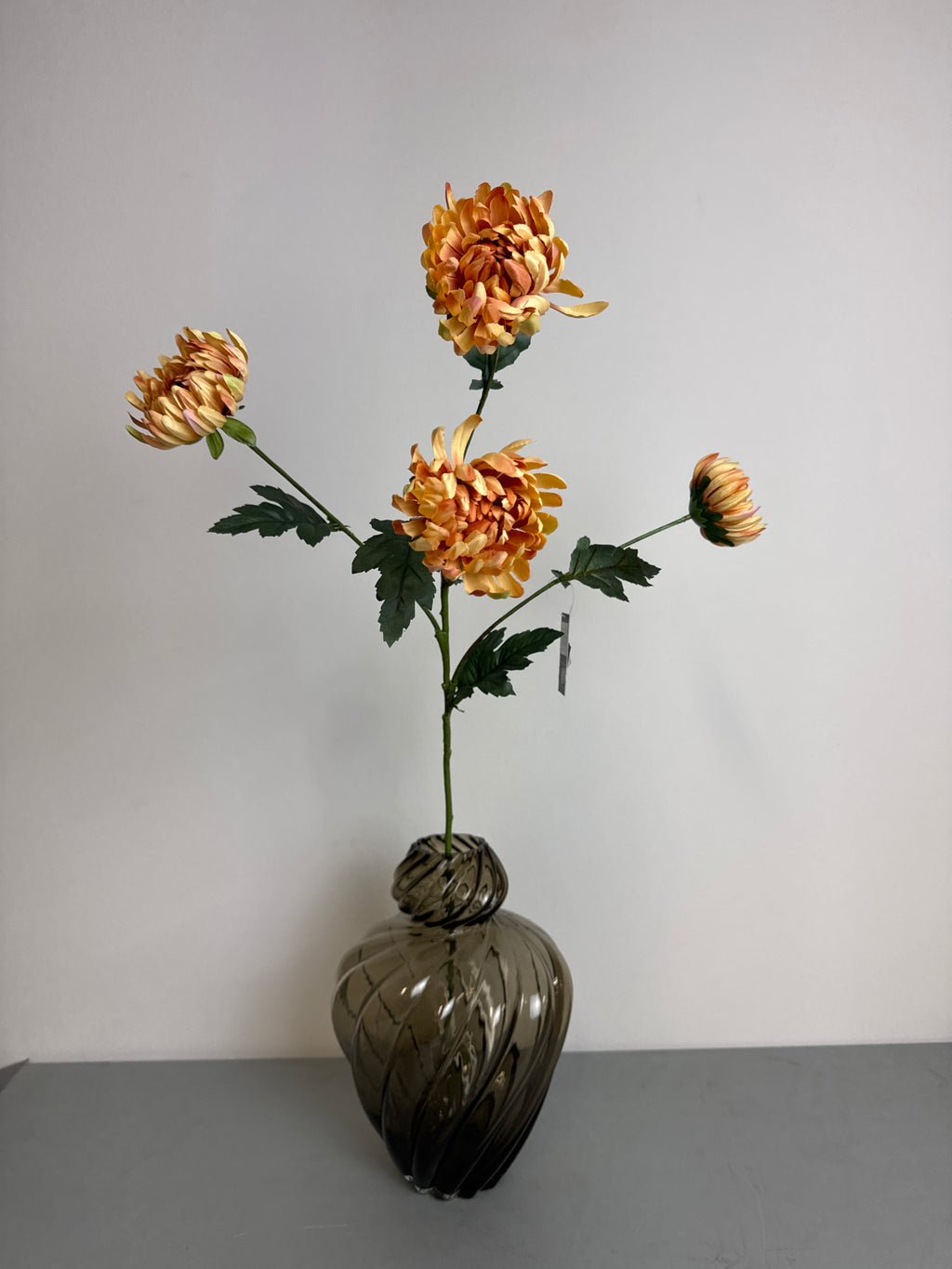 Chrysanthemum orange
