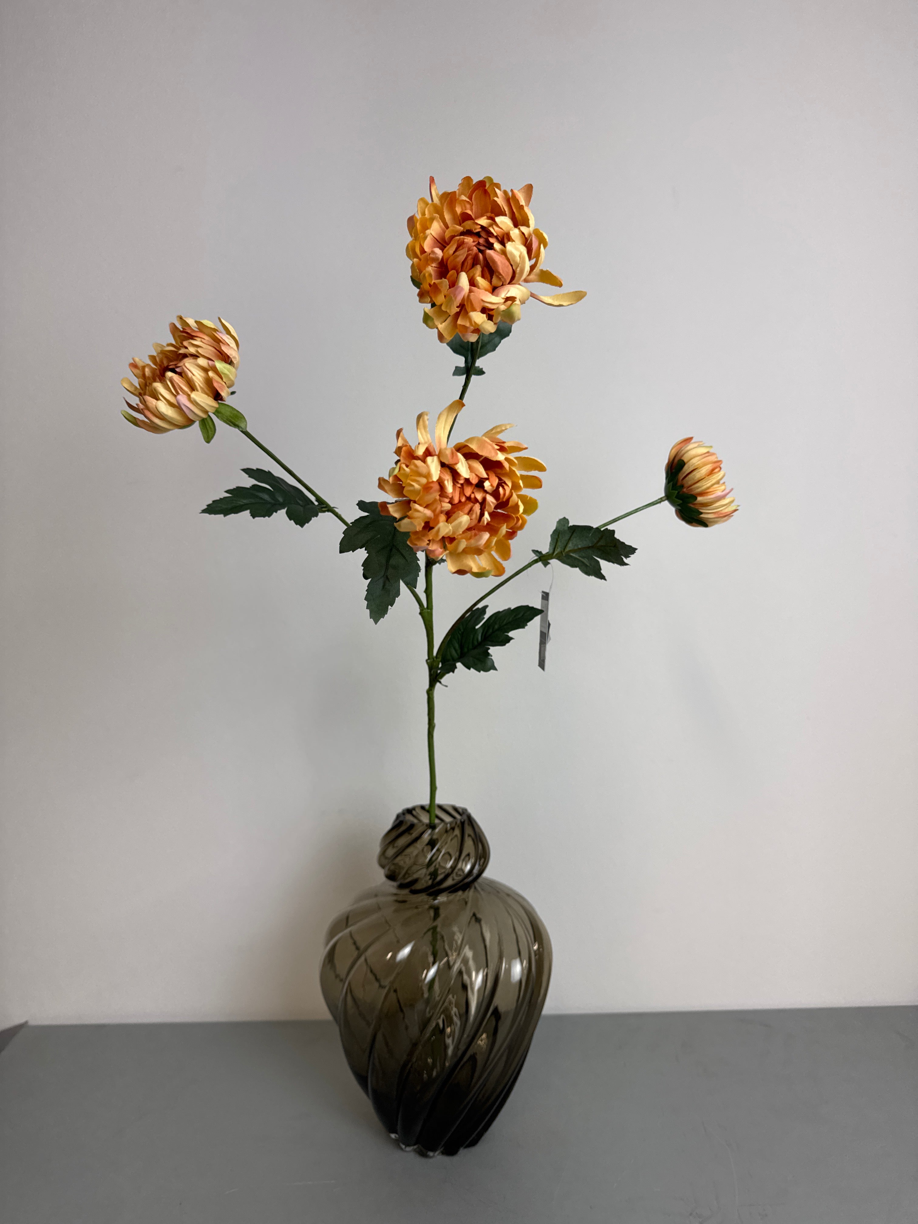 Chrysanthemum orange