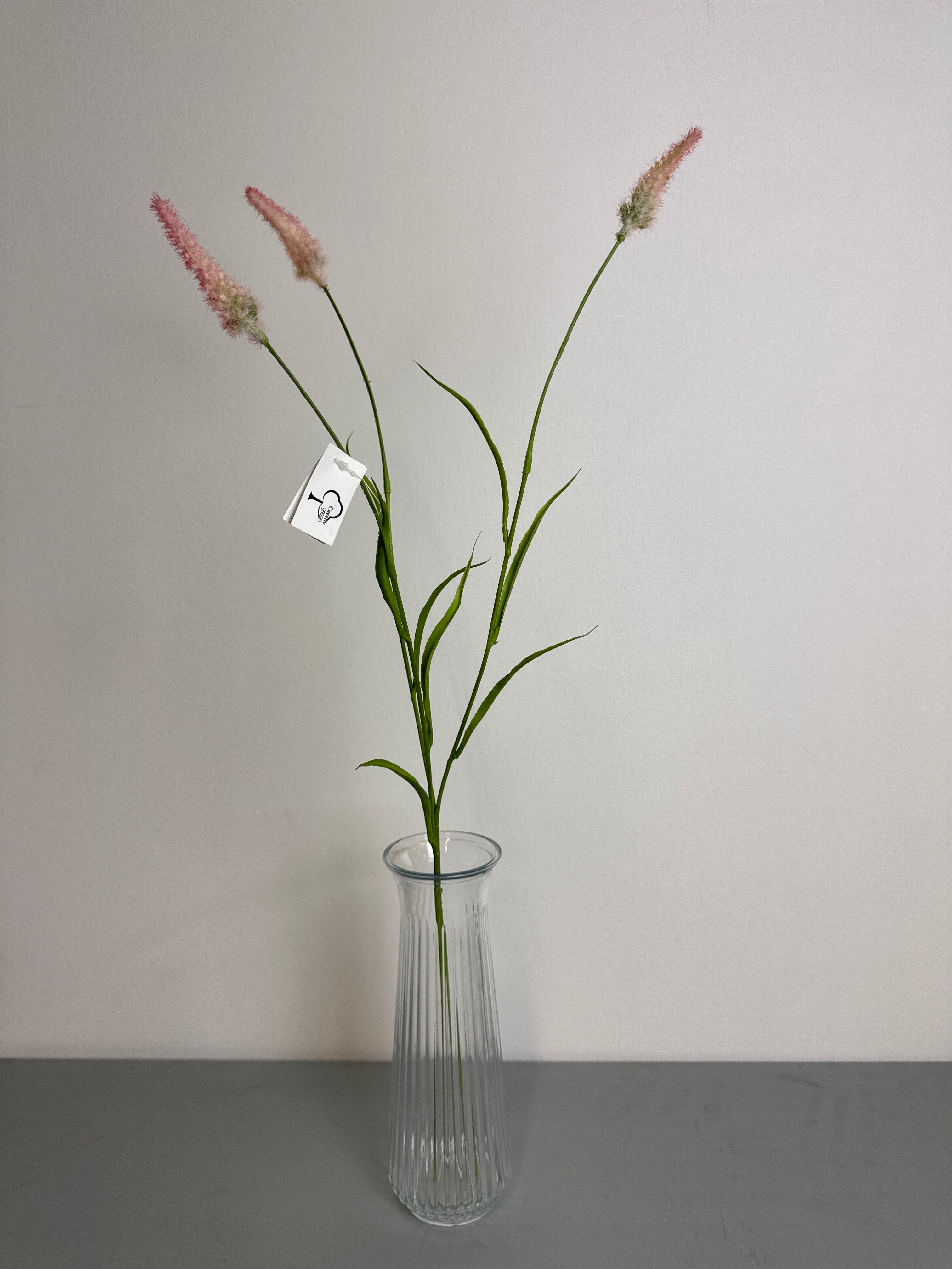 Græs blomst lyserød