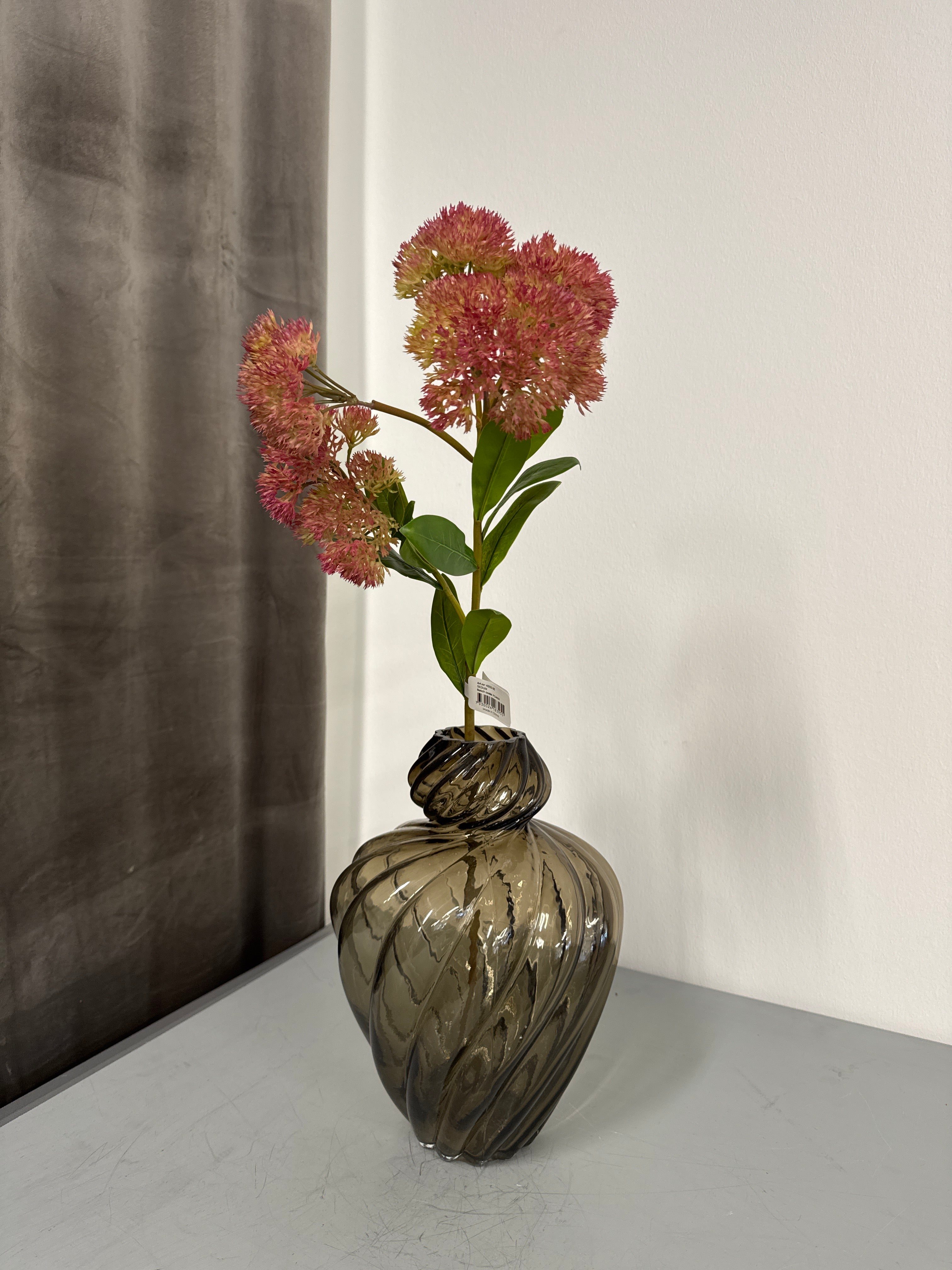 Sedum rød. Sankthansurt