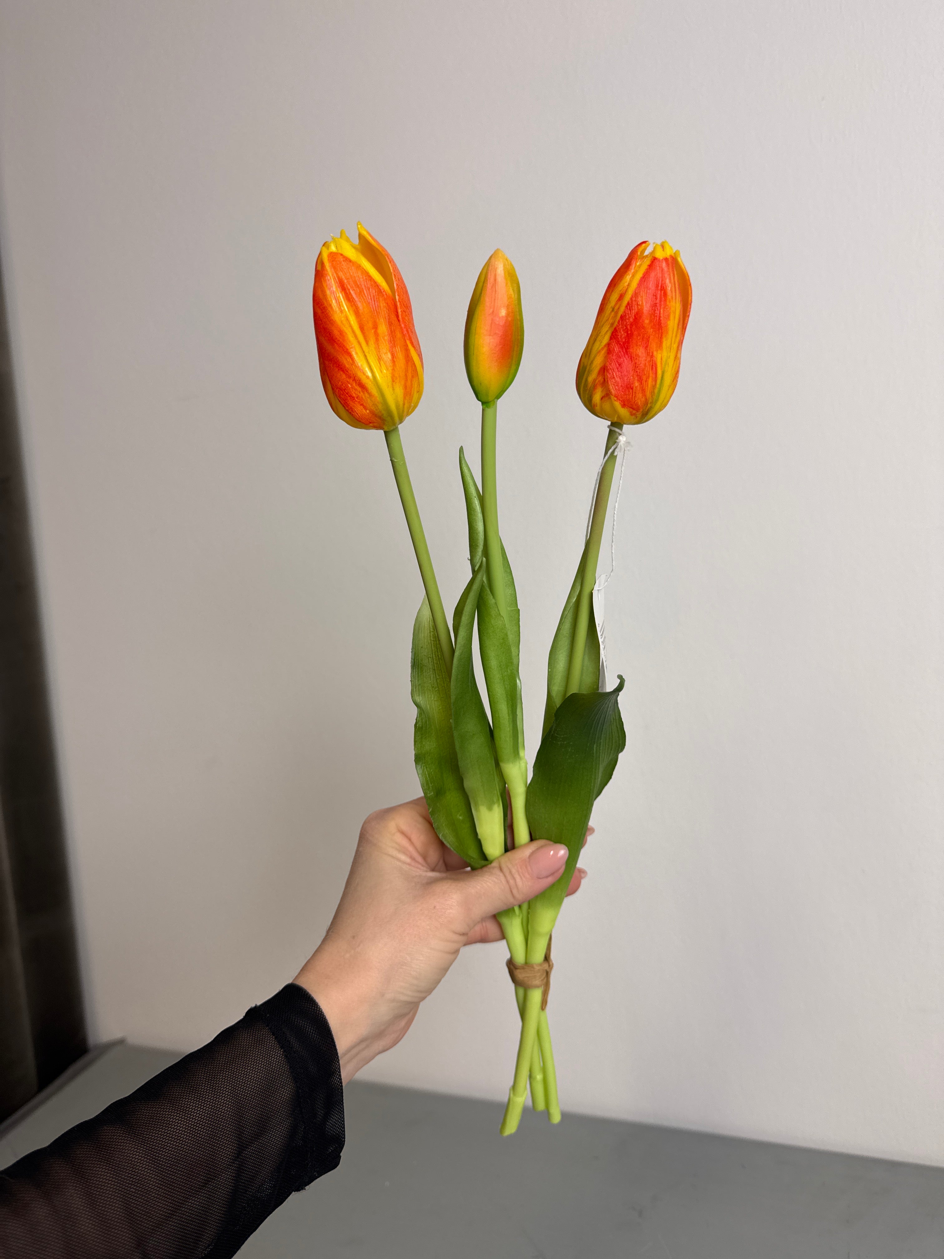 Tulipaner orange