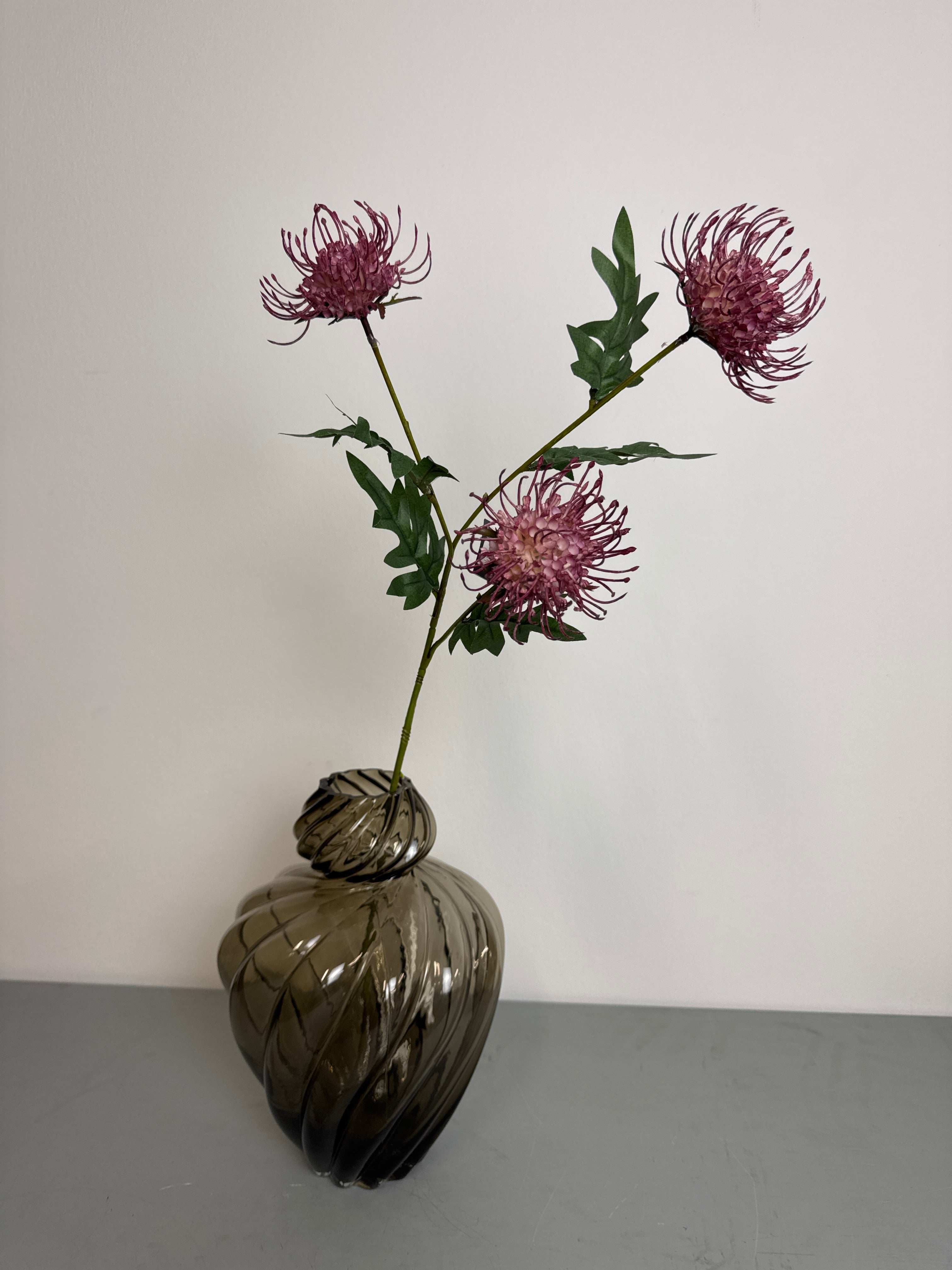 Protea blomst rosa