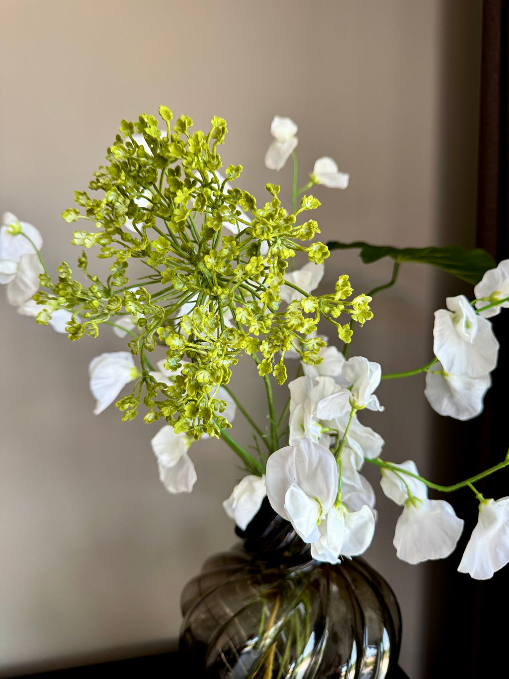 Lathyrus mix