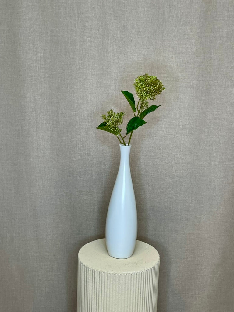 Skimmia grøn h 65 cm
