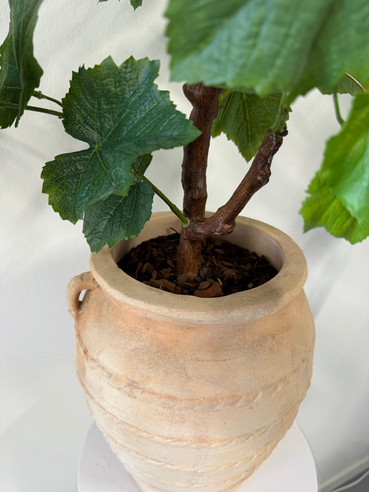 Vinstok plante 90 cm