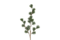 Ceder gran støvet grøn h 78 cm