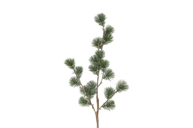 Ceder gran støvet grøn h 78 cm
