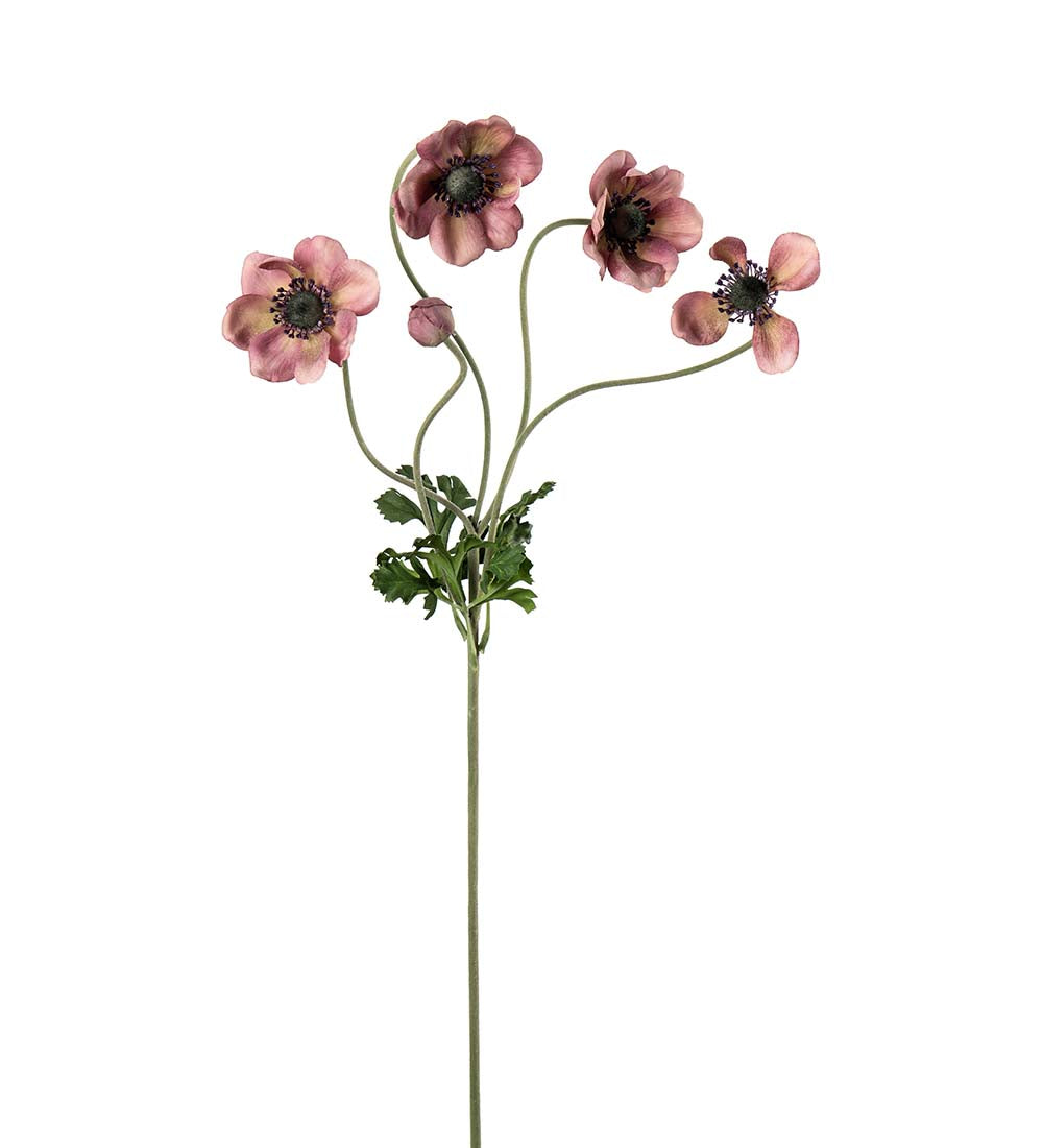Anemone rosa 75 cm