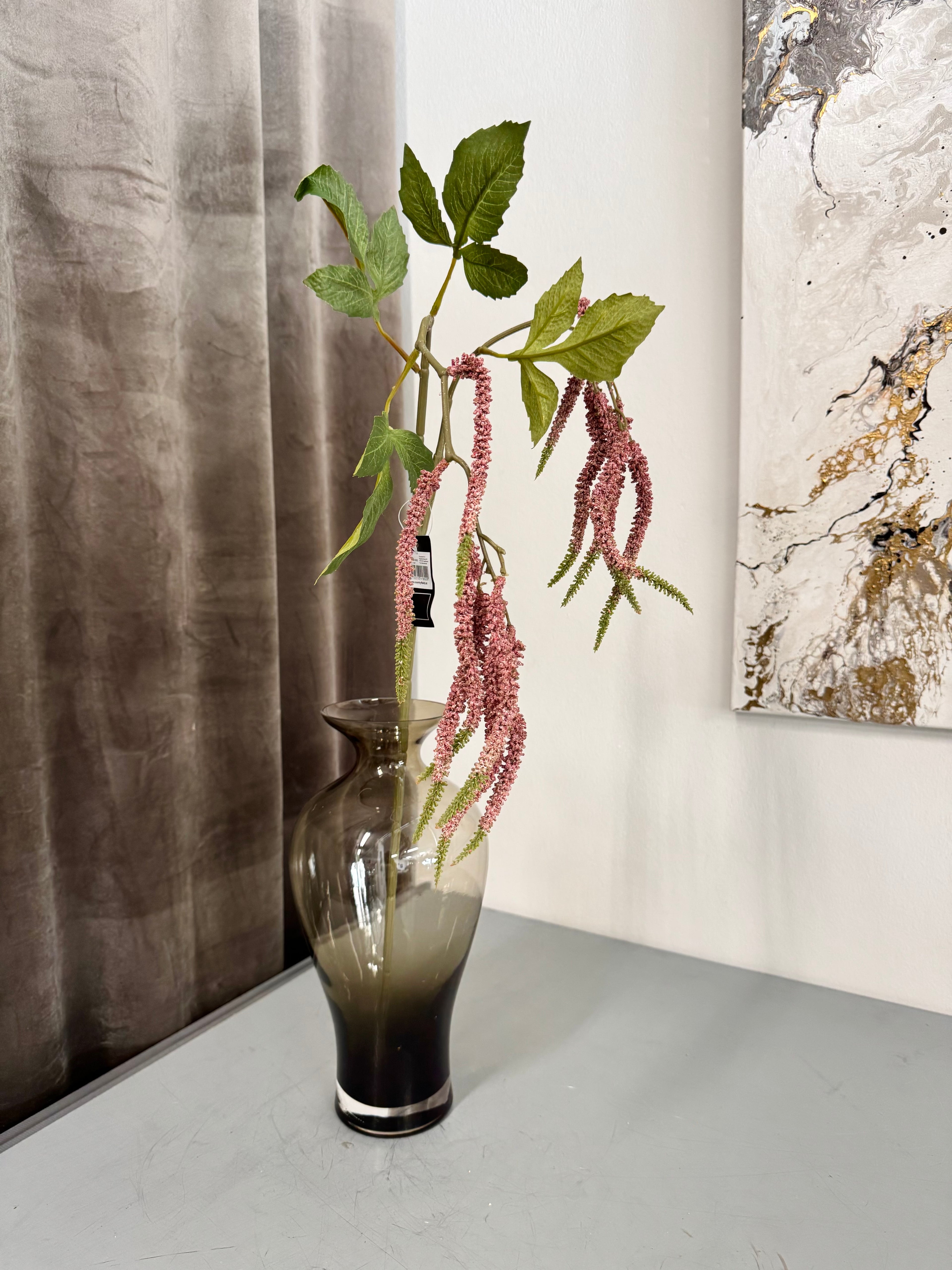 Amaranthus rosa hænge