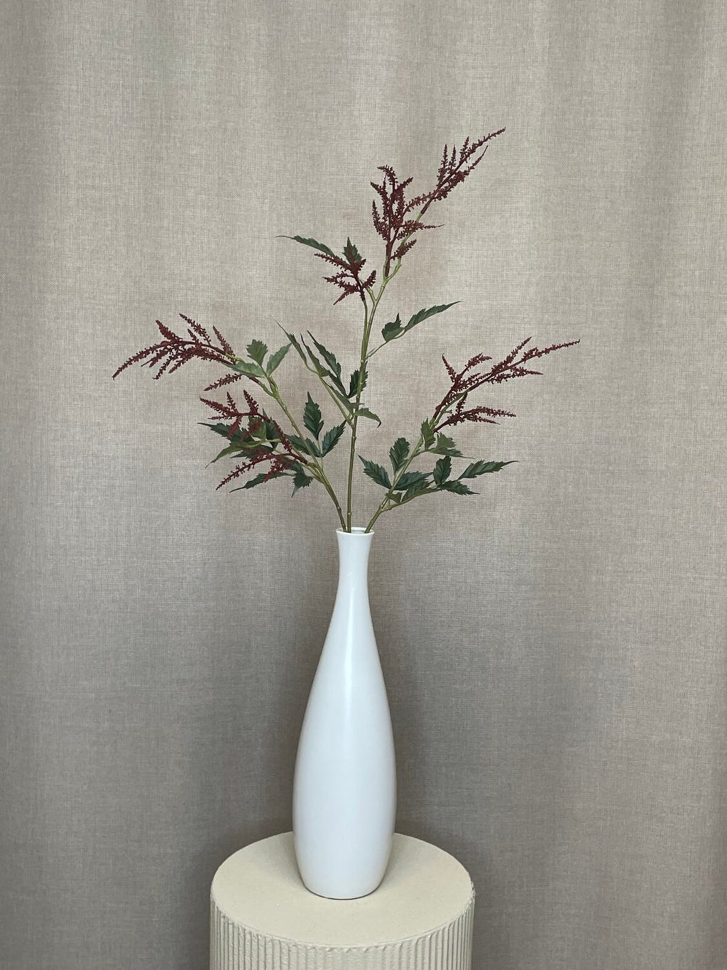 Abstilbe brun h 88 cm