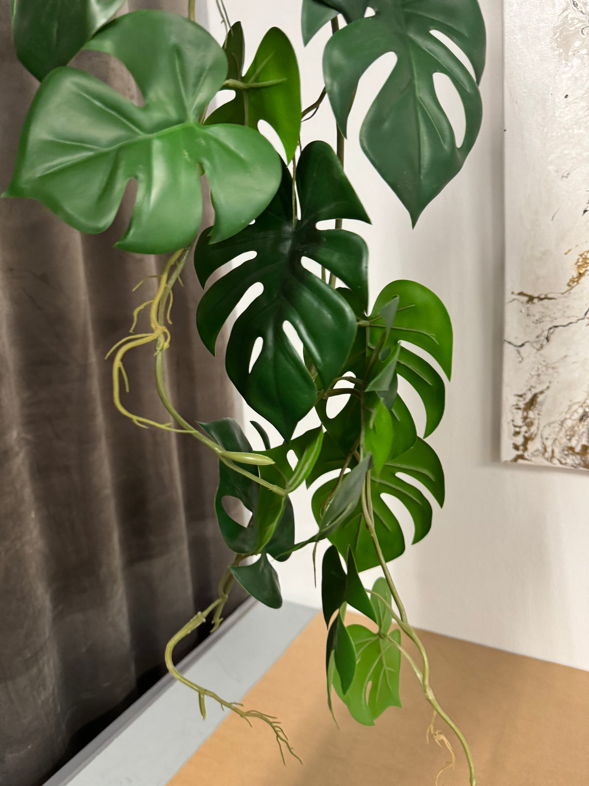 Hænge plante m. Fejl
