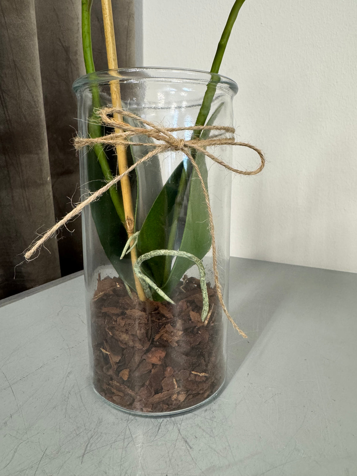 Orkidé med rødder hvid 45 cm