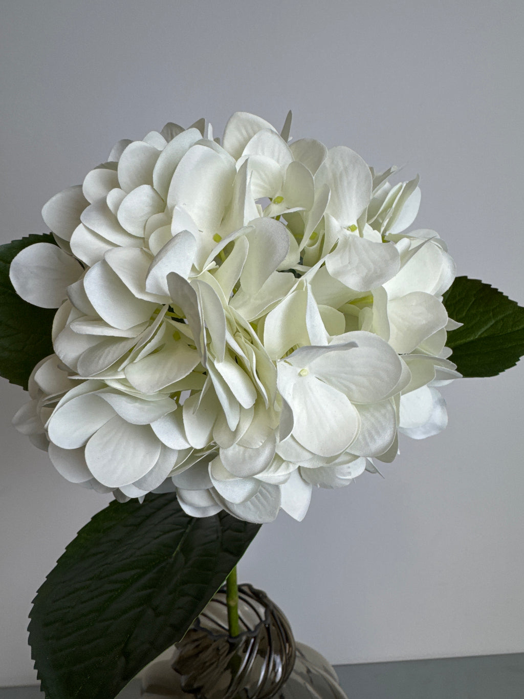 Deluxe Hortensia hvid