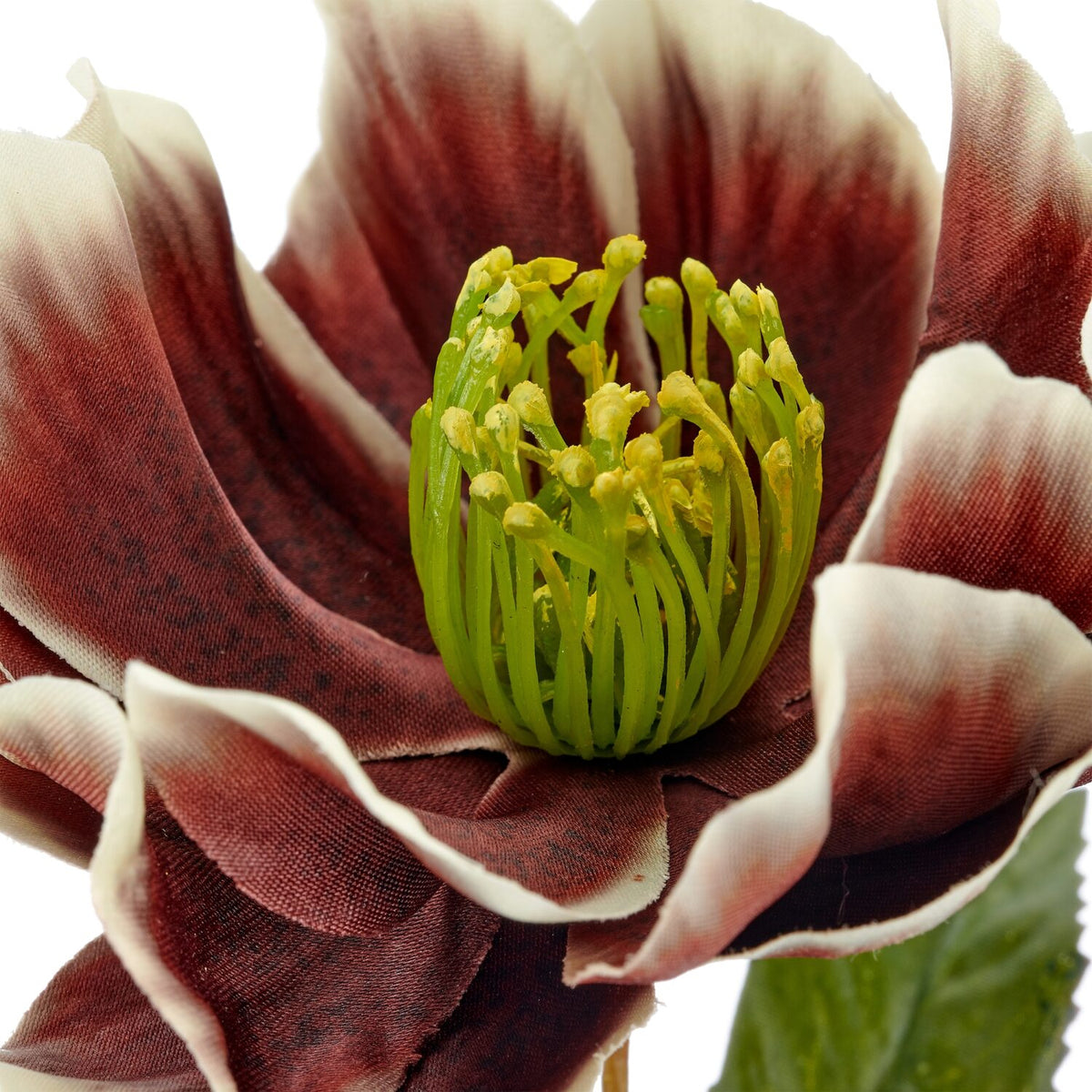 Julerose brun h 67 cm