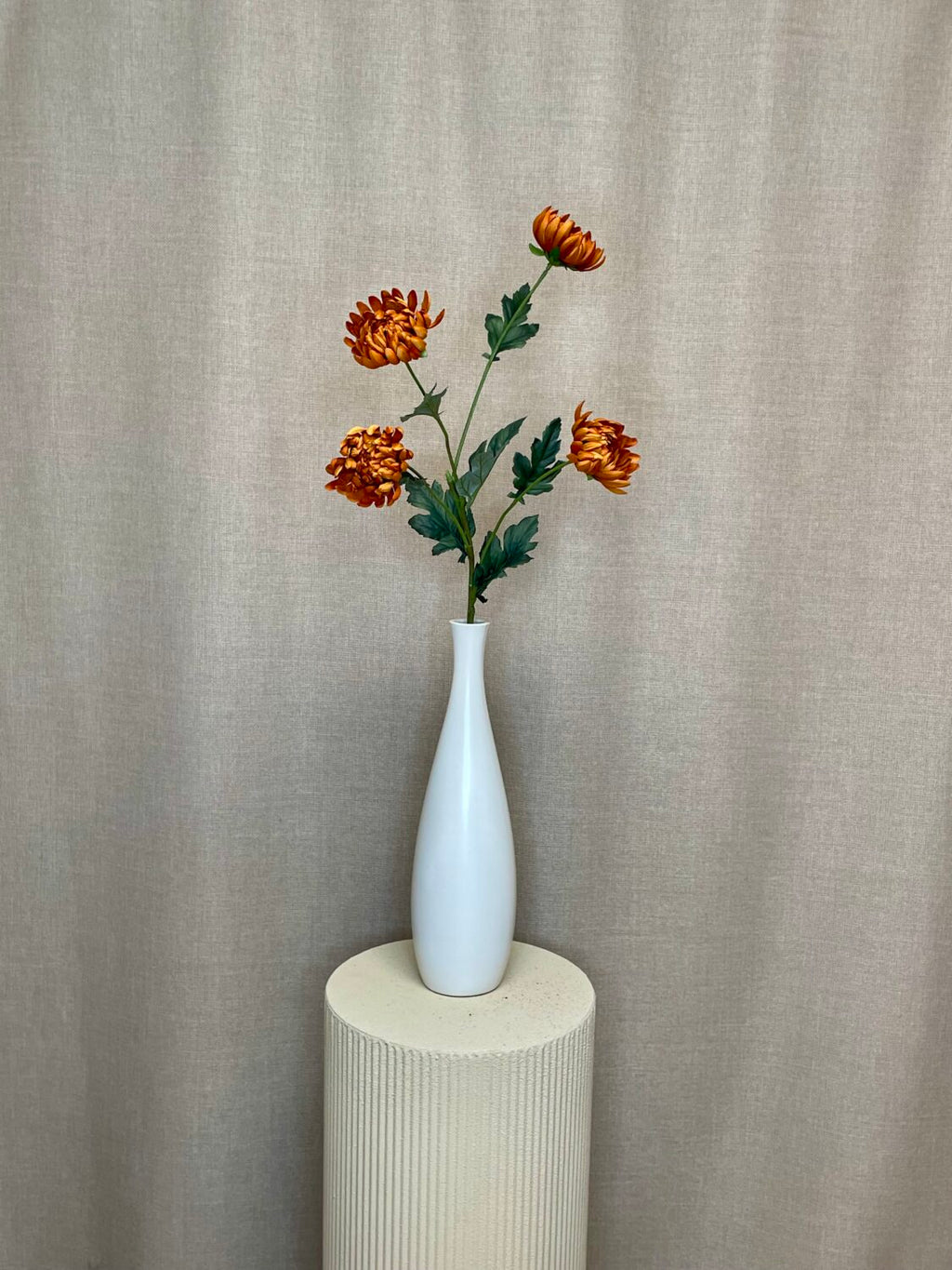 Chrysanthemum cinnamon h 83 cm