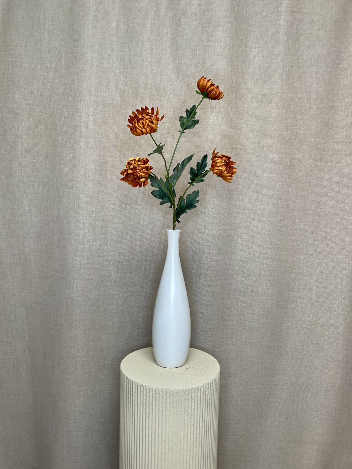 Chrysanthemum cinnamon h 83 cm
