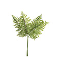 Bregne blad (4 stk) 50 cm