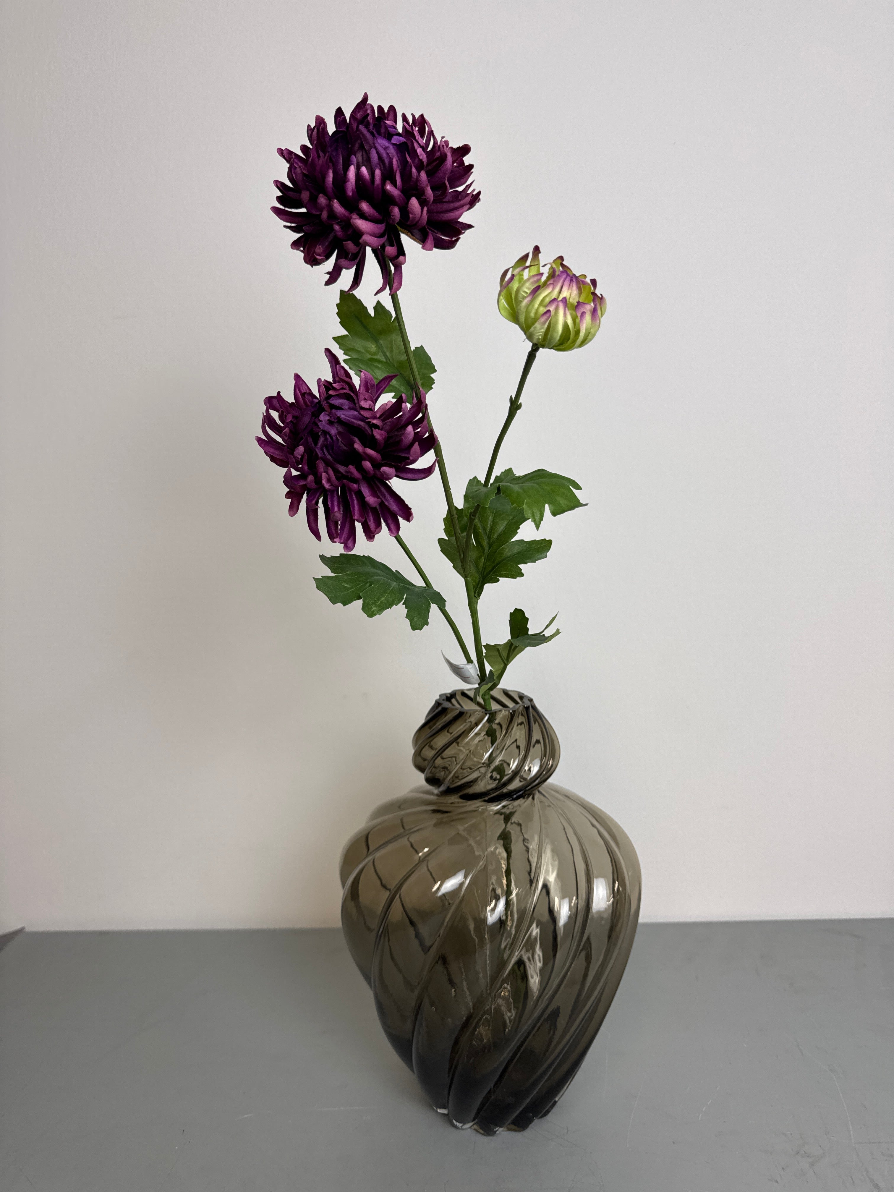 Chrysanthemum lilla/grøn