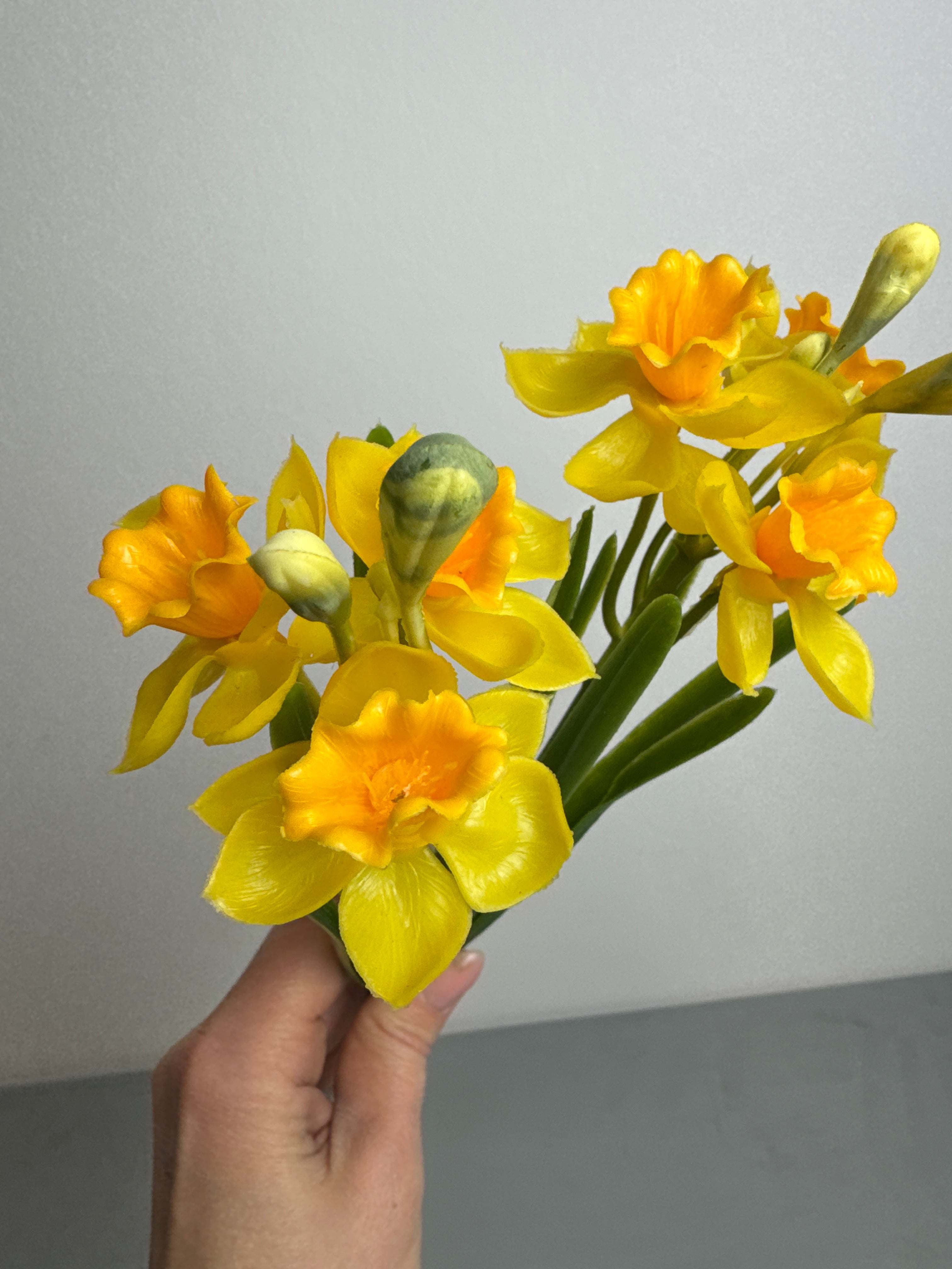 Påskelilje gul 2 stk.