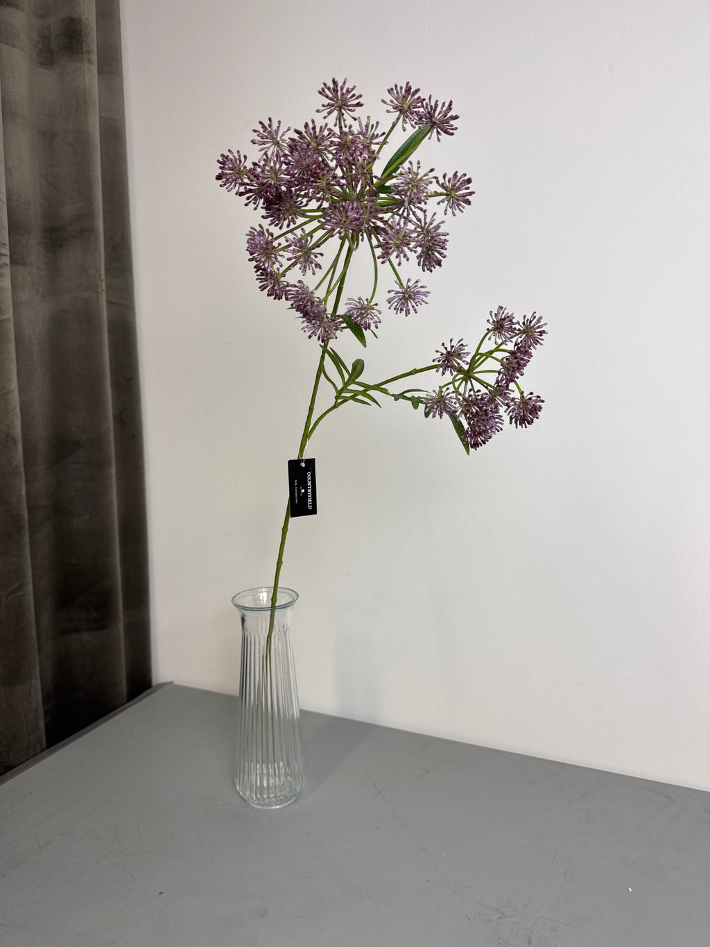 Skærmblomst stor lilla