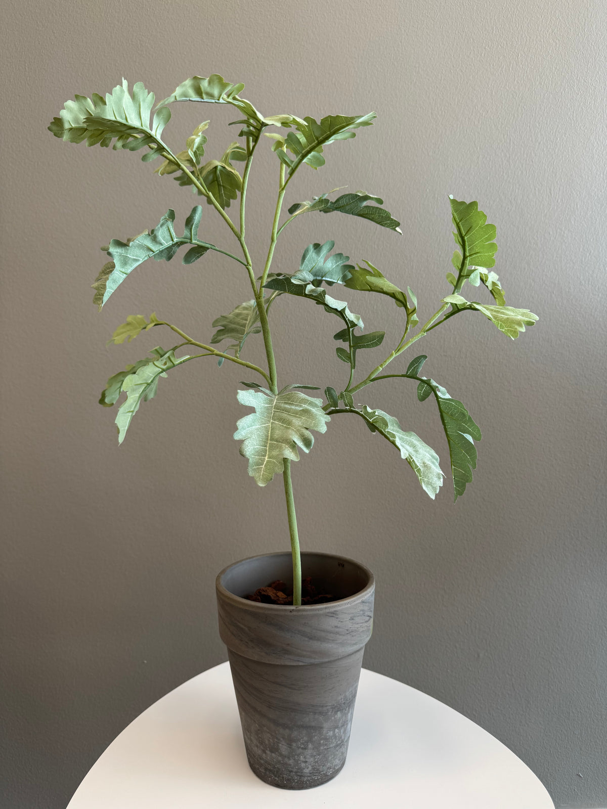 Silverek 70 cm