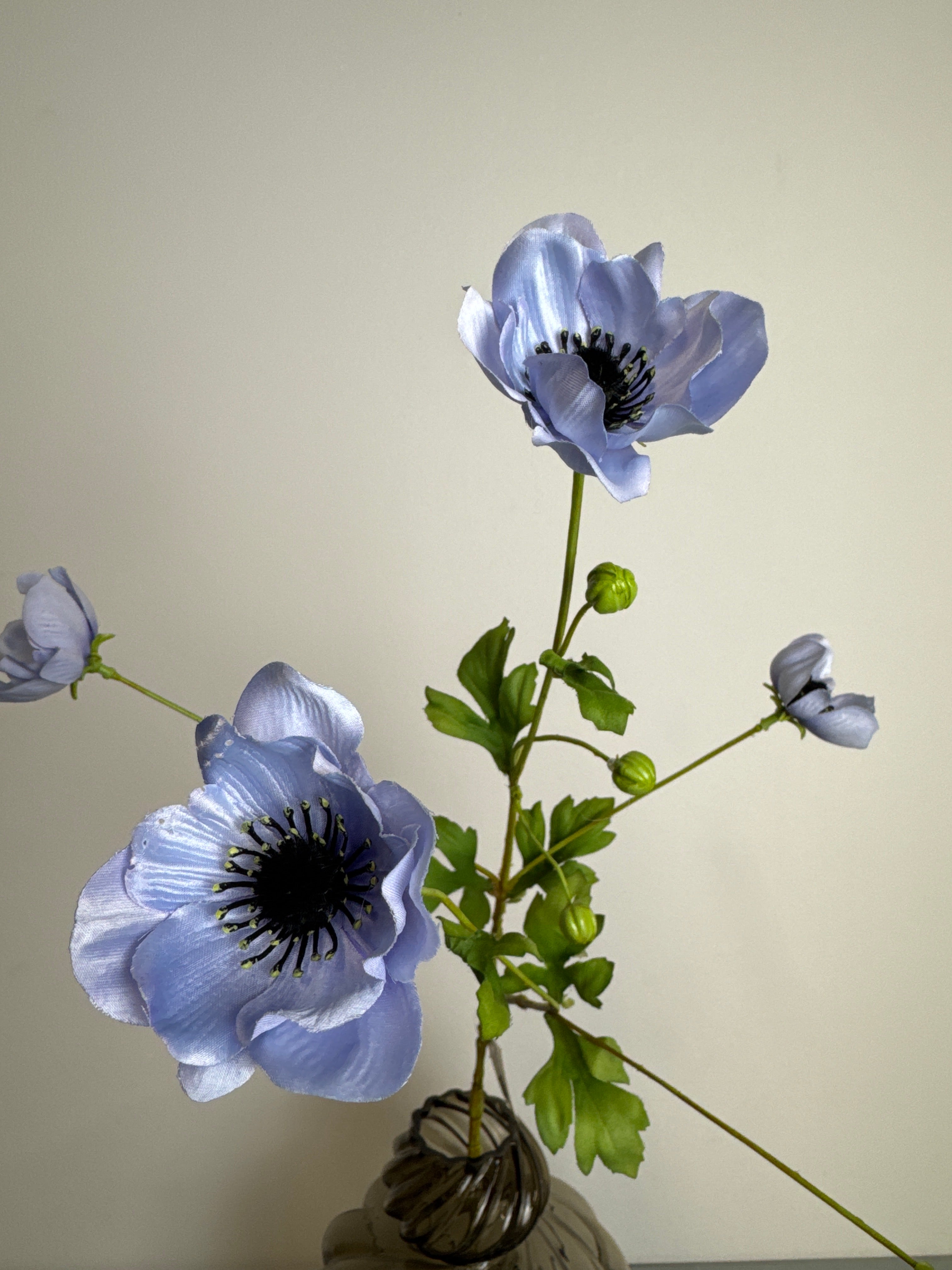 Anemone blå