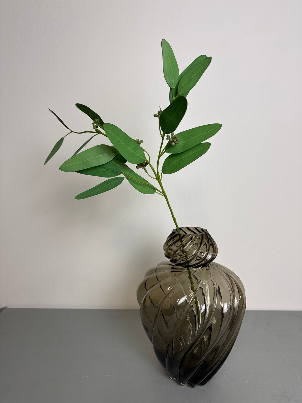 Eucalyptus bladgren udgår