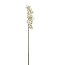 Hortensia høj creme 89 cm