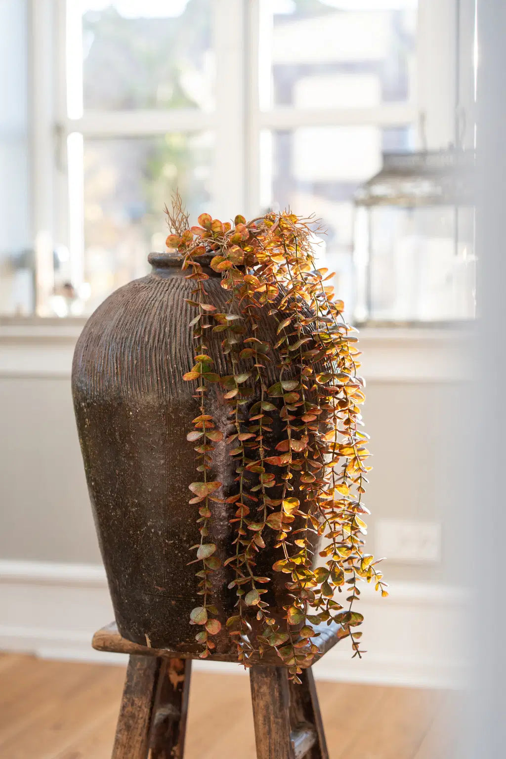 Eukalyptus hængegren 96cm