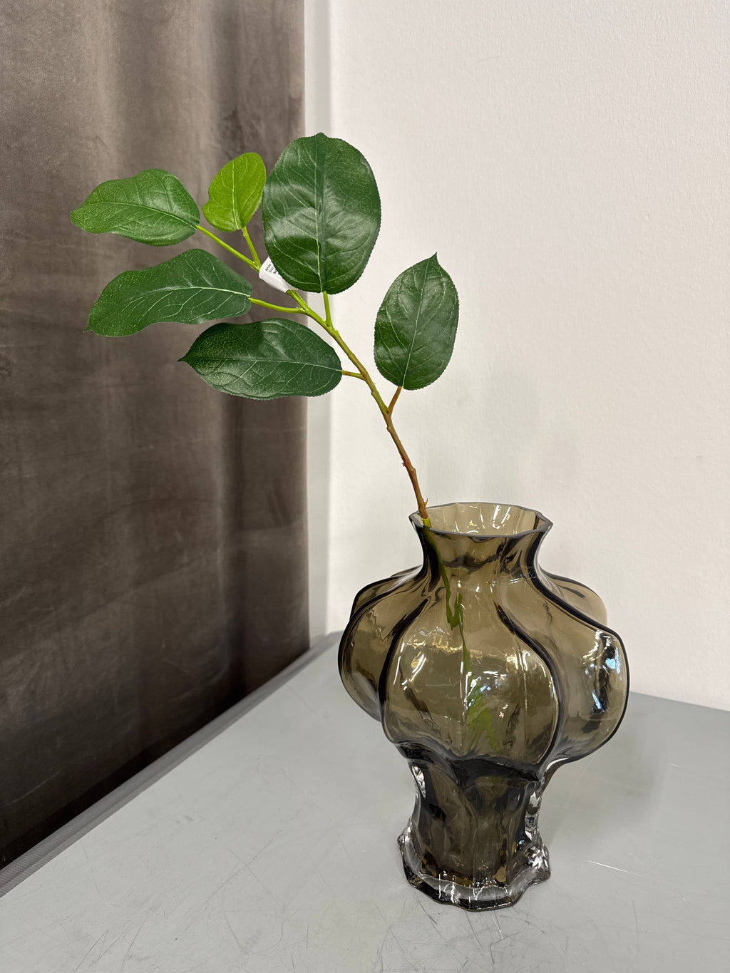 Salal blad grøn