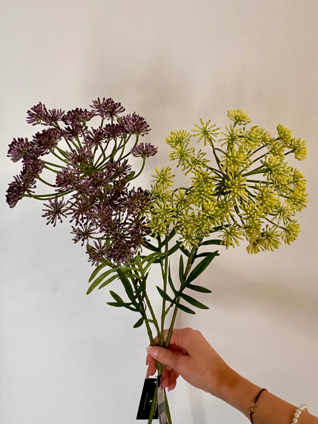 Skærmblomst stor lilla