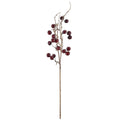 Kirsebærgren h 78 cm Bordeaux