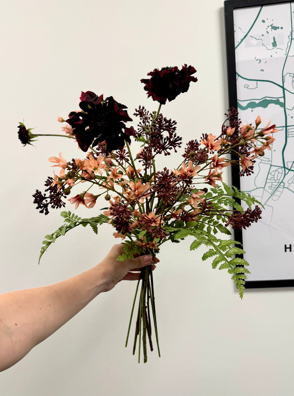 Efterår Scabiose høj